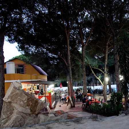Camping Vejer Вехер-де-ла-Фронтера Екстер'єр фото
